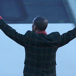 Foto São Eles os Cães