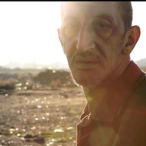 Foto São Eles os Cães