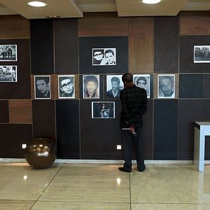 Foto São Eles os Cães