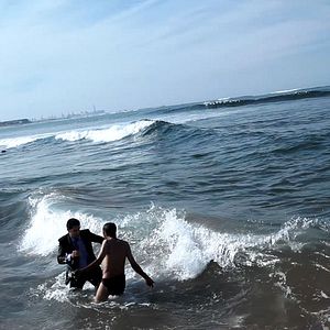 Foto São Eles os Cães