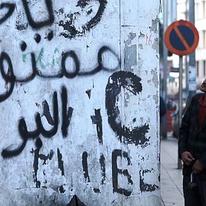 Foto São Eles os Cães