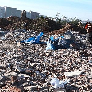 Foto São Eles os Cães