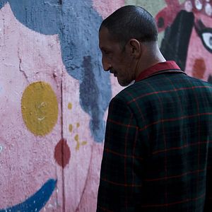 Foto São Eles os Cães