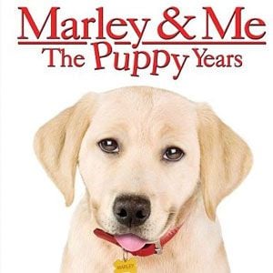 Foto Marley & Eu 2 - O Filhote Encrenqueiro