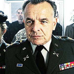 Foto Maldita Aranha Gigante