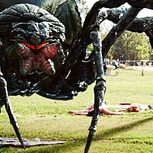 Foto Maldita Aranha Gigante