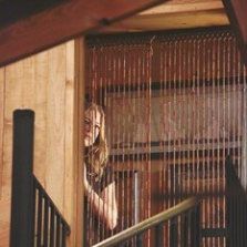 Foto Emily VanCamp