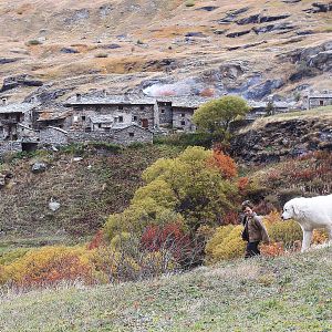 Foto Belle e Sebastian