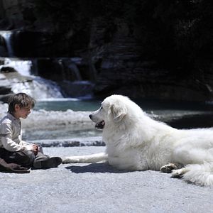 Foto Belle e Sebastian