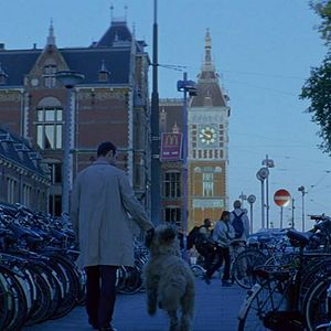 Foto Um Homem Perfeito