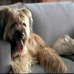 Foto Um Homem Perfeito