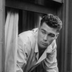 Foto Day of The Fight