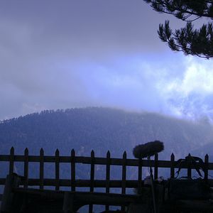 Foto Gözetleme Kulesi