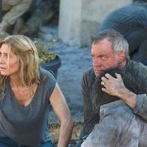 Foto Stephen Collins