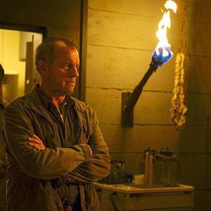 Foto Stephen Collins