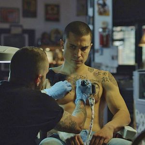 Foto Escorpião Apaixonado