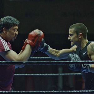 Foto Escorpião Apaixonado