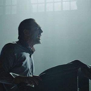 Foto Escorpião Apaixonado