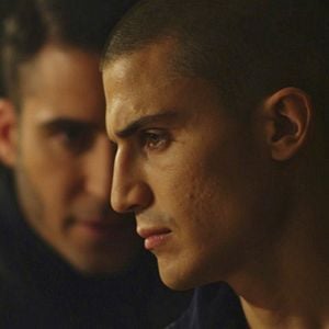 Foto Escorpião Apaixonado