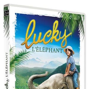 Foto Meu Elefante da Sorte