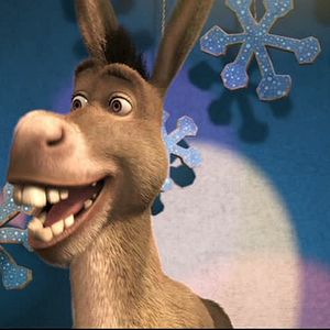 Foto Natal Shrektacular do Burro