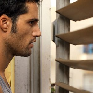 Foto Snails in the Rain