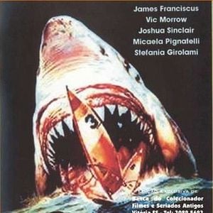 Foto O Último Tubarão