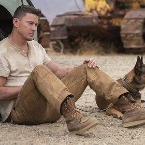 Foto Dog - A Aventura de Uma Vida