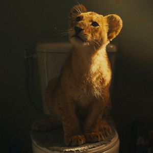 Foto King, Meu Melhor Amigo