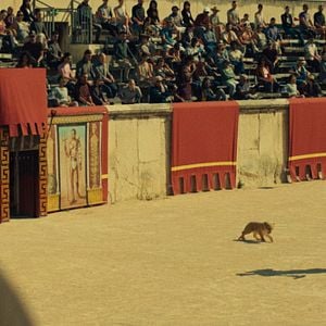 Foto King, Meu Melhor Amigo