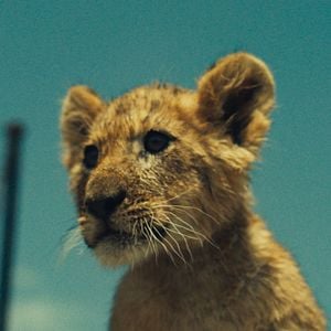 Foto King, Meu Melhor Amigo