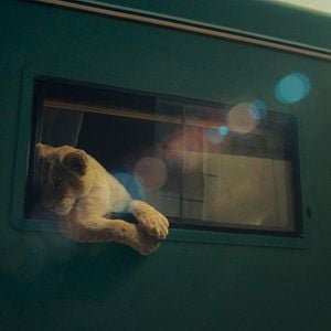 Foto King, Meu Melhor Amigo