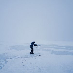 Foto Caranguejo Negro