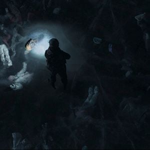 Foto Caranguejo Negro