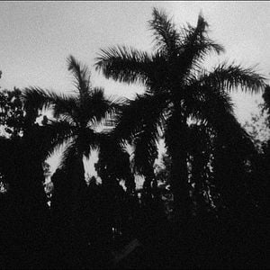 Foto A Night Of Knowing Nothing