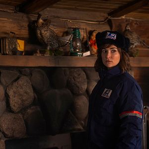 Foto Um Lobo Entre Nós