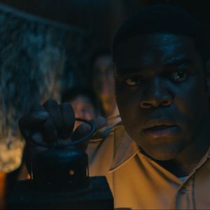 Foto Um Lobo Entre Nós