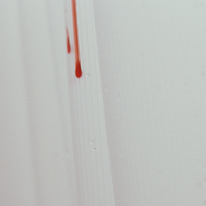 Foto Desejo e Obsessão