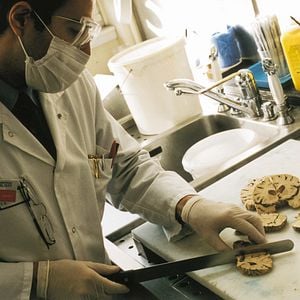 Foto Desejo e Obsessão