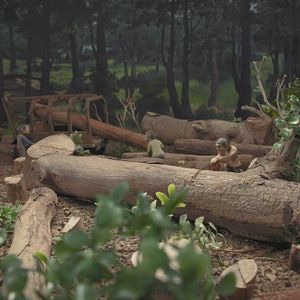 Foto Everything Will Be OK