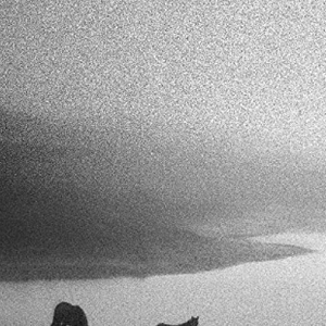 Foto Geographies Of Solitude