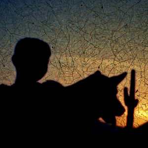 Foto American Journal