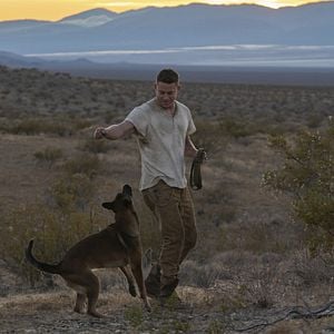 Foto Dog - A Aventura de Uma Vida