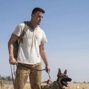 Foto Dog - A Aventura de Uma Vida