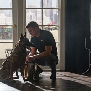 Foto Dog - A Aventura de Uma Vida