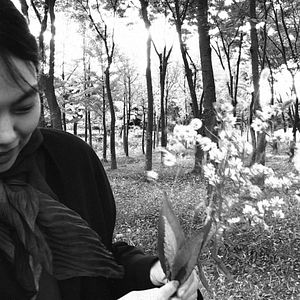 Foto The Novelist's Film