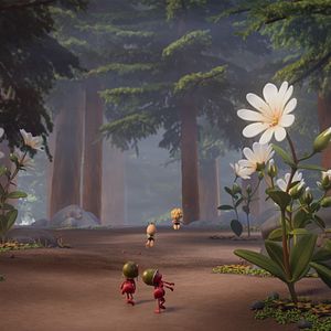 Foto A Abelhinha Maya e o Ovo Dourado