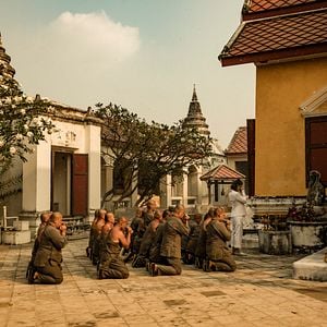 Foto Golpes de Vingança