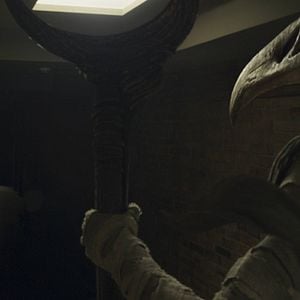 Foto Cavaleiro da Lua