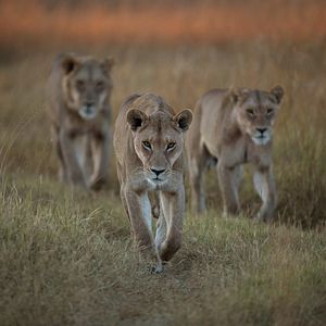 Foto Sobrevivendo ao Paraíso: Contos de Famílias